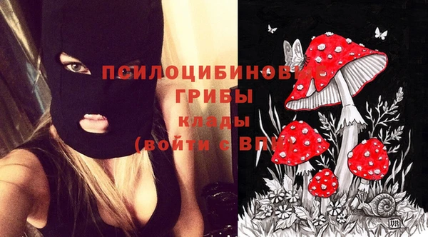 jwh Зеленокумск