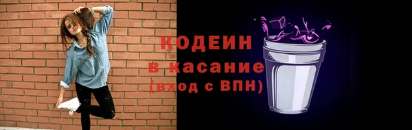 крисы Инсар