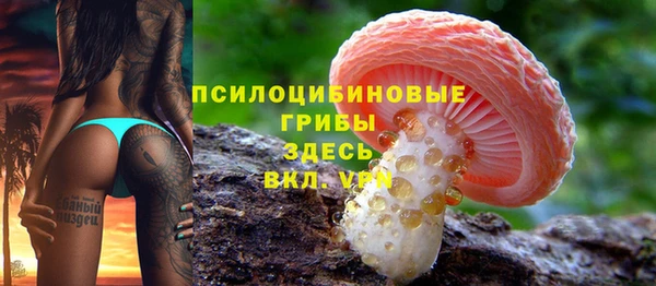 прущие крисы Зерноград